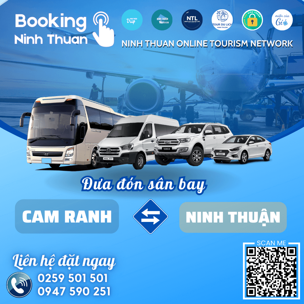 Đặt thuê xe sân bay Cam Ranh đi Ninh Thuận giá tốt nhất